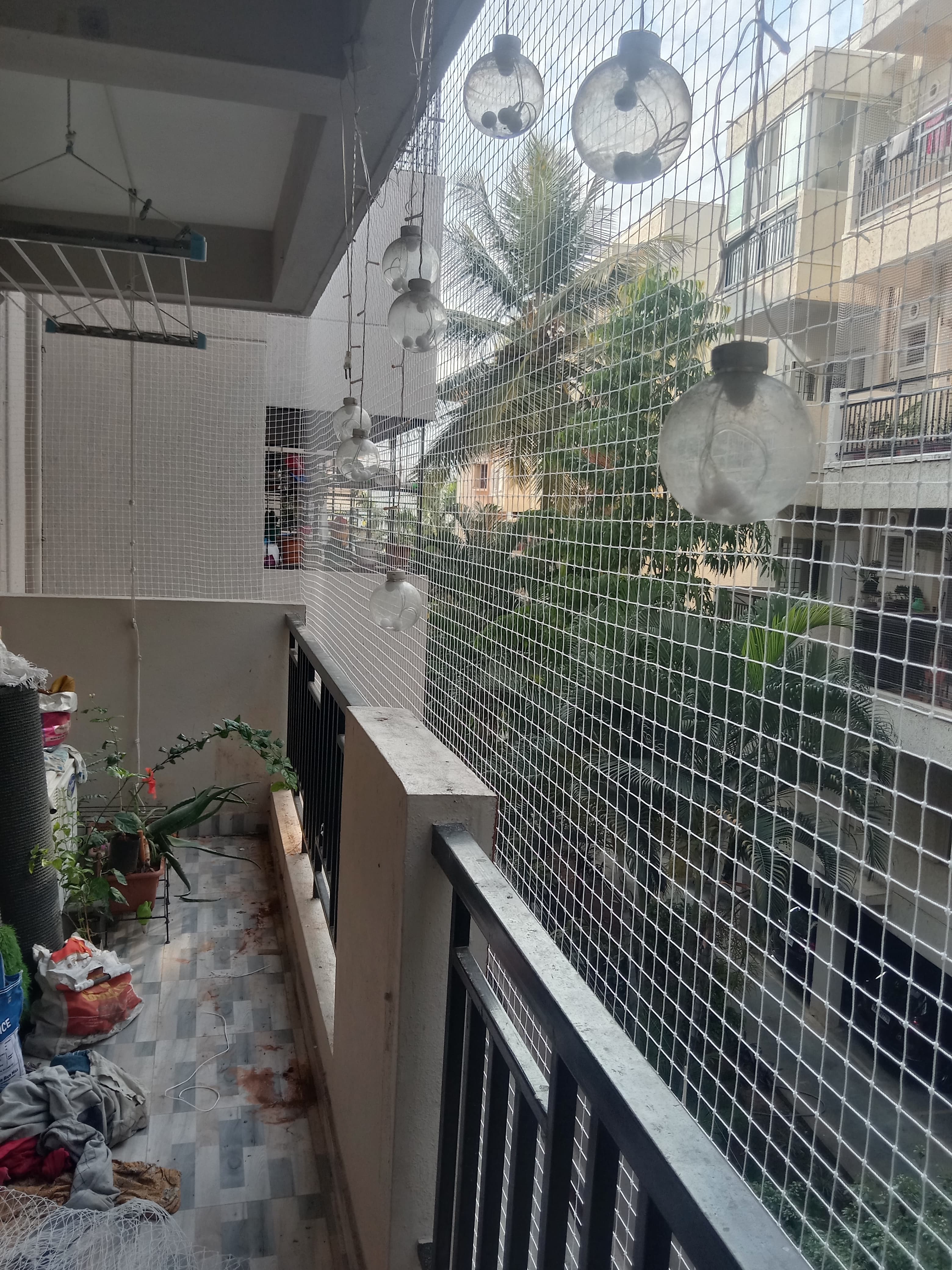 Bird Netting Service