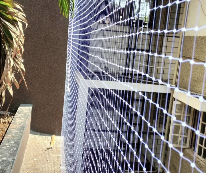 Pigeon Nets Koramangala